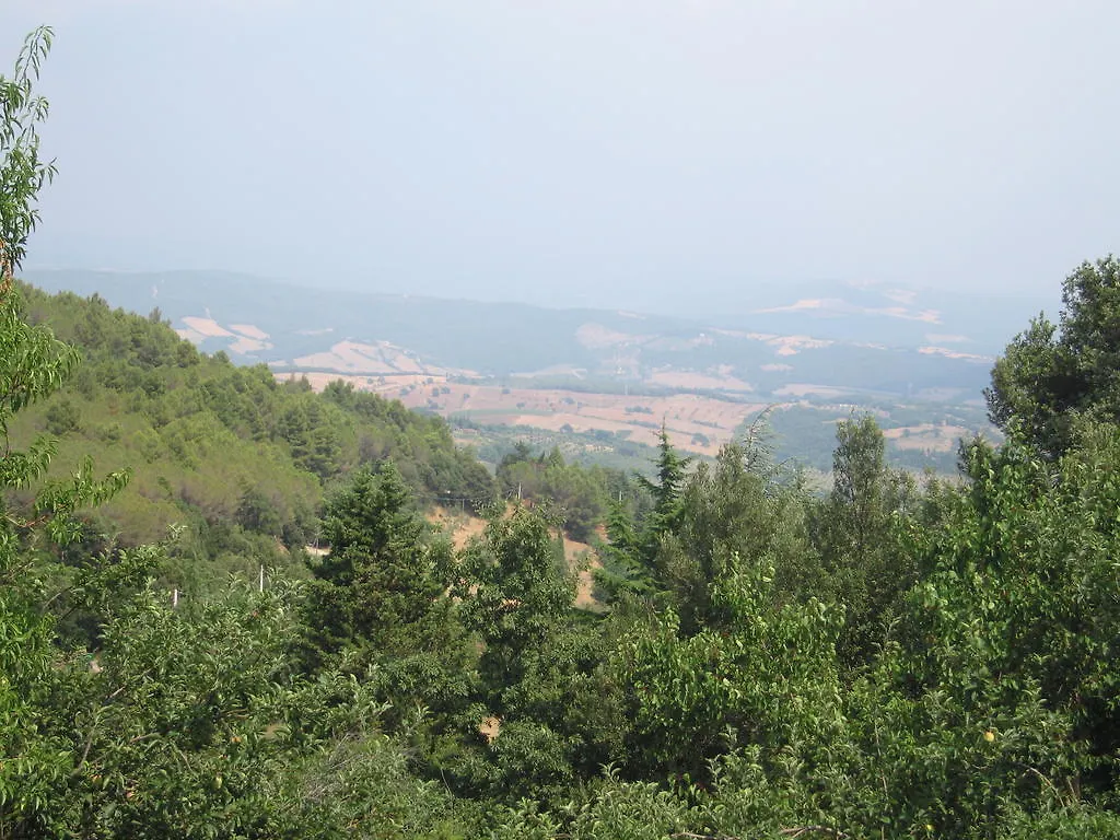 Bed And Breakfast Belvedere Suvereto