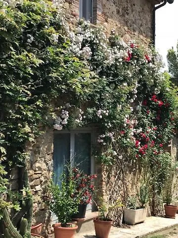 Bed And Breakfast Belvedere Suvereto